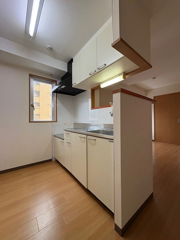 Ｗｅａｌｔｈｙ長谷 キッチン