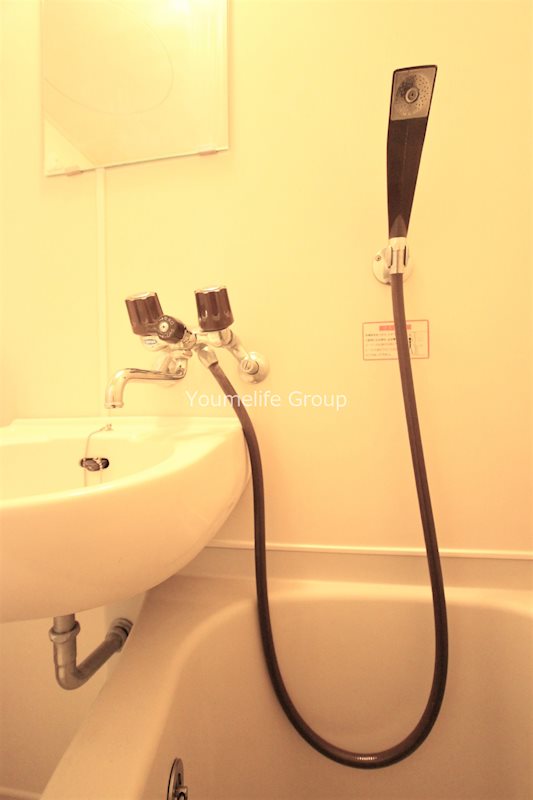 フリージア その他6