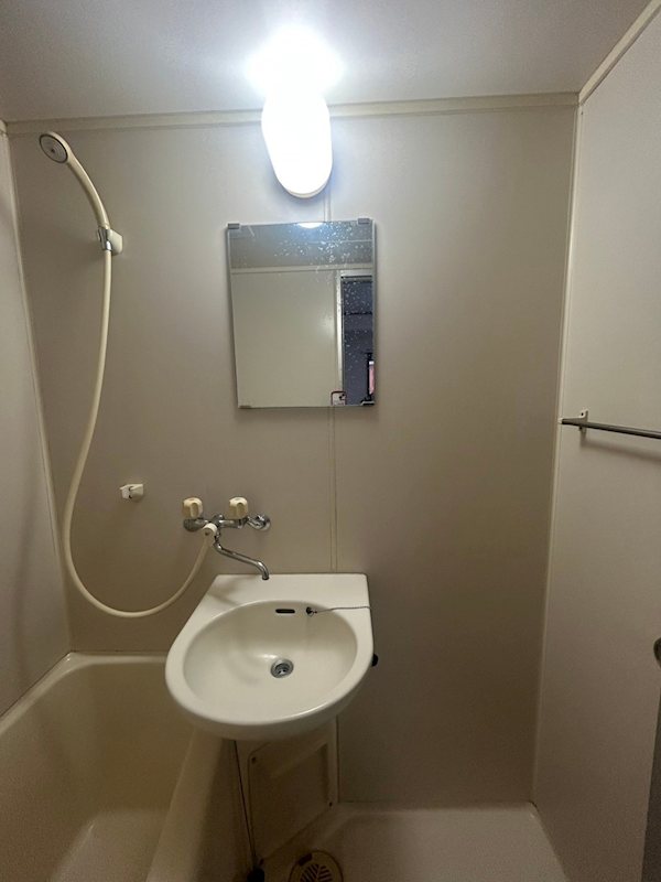 シャイニングローズ その他2