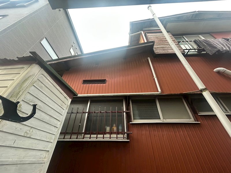 シャイニングローズ その他5