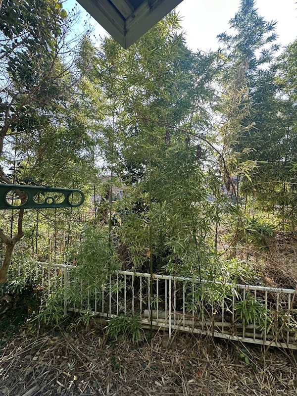 アルテミスtokai その他6