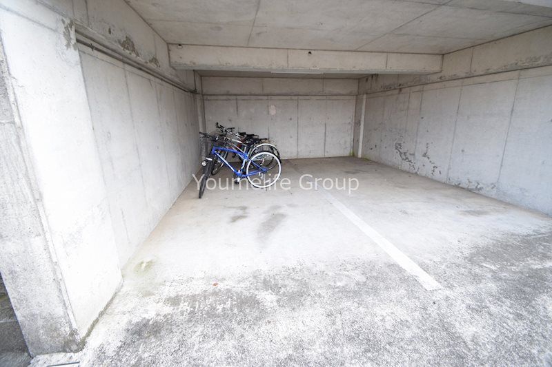 シャイニングローズ その他外観1