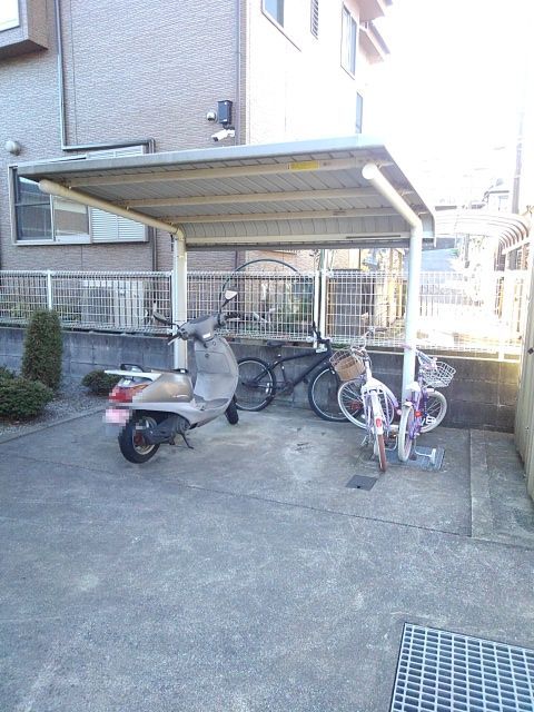 シャンド・カメリア その他6