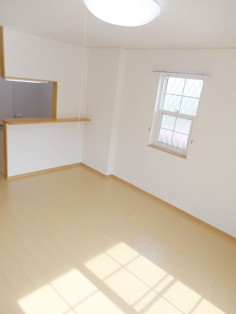 コスモス その他1