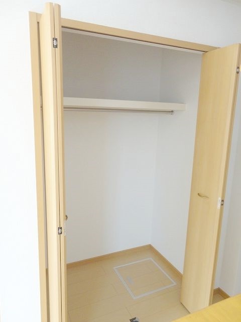 コスモス その他2