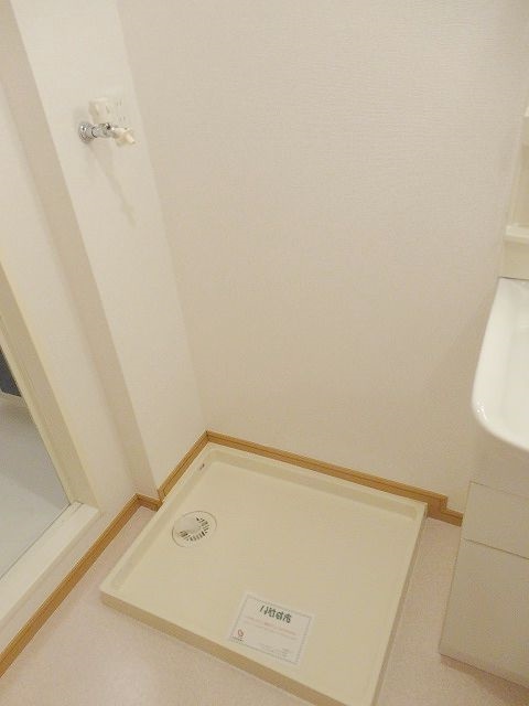 コスモス その他5