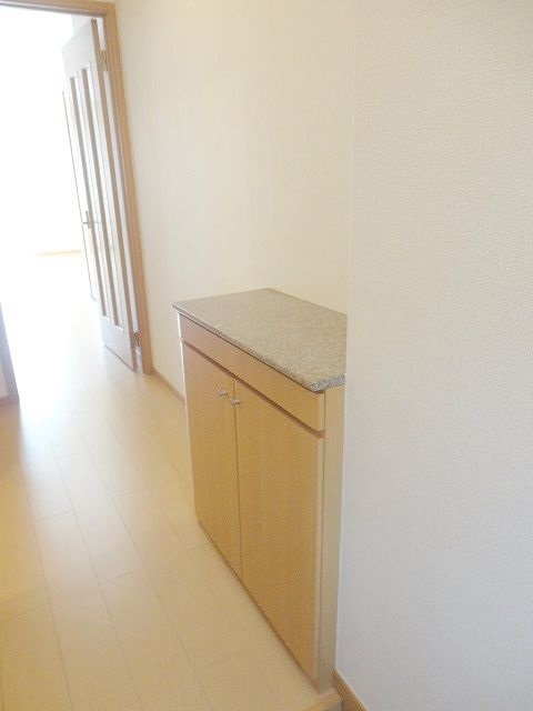 コスモス その他7