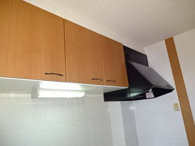 フレンドシップＳＨＯＮＡＮ その他8