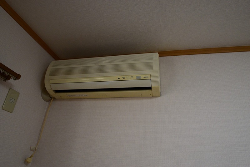 プリムローズ その他18