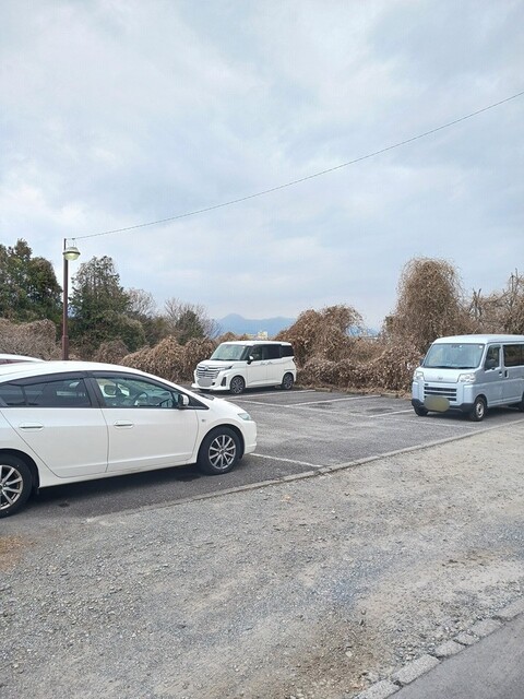 リバーマウス その他1