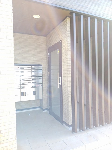 カメリア・ＯＲ その他7