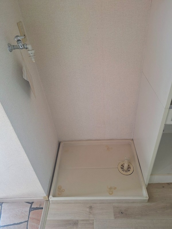 コスモス№２ その他3