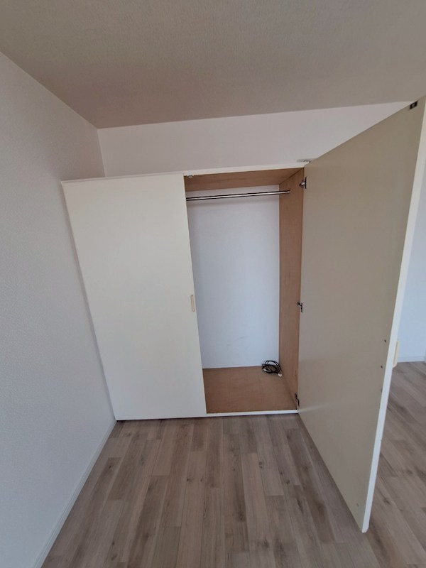 コスモス№２ その他3