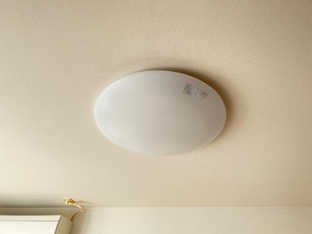 ソフィア その他5