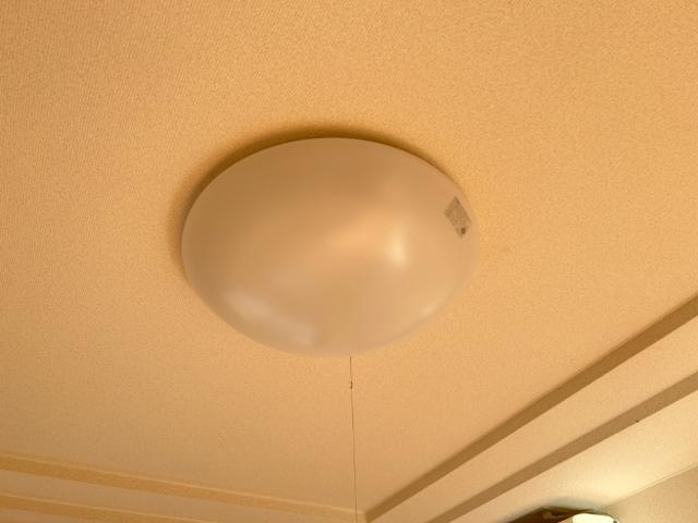 スプリングウィンド その他12