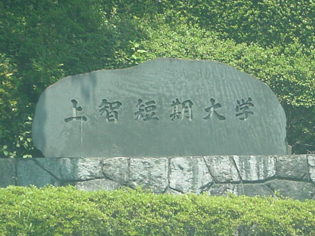 スプリングウィンド その他16