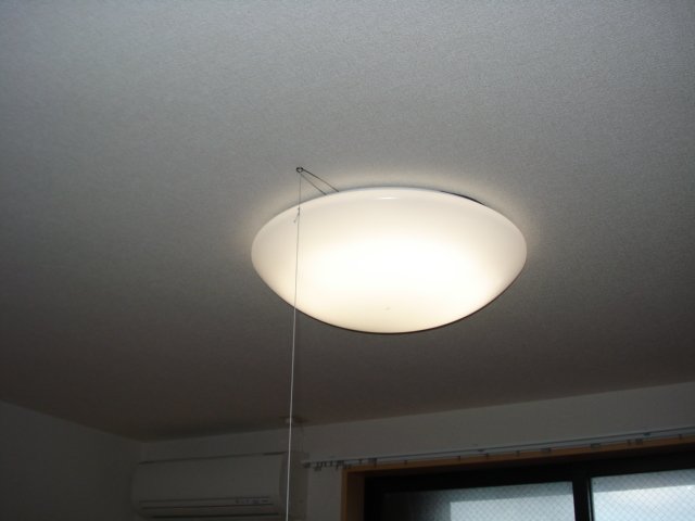 ラベンダーリブ その他15