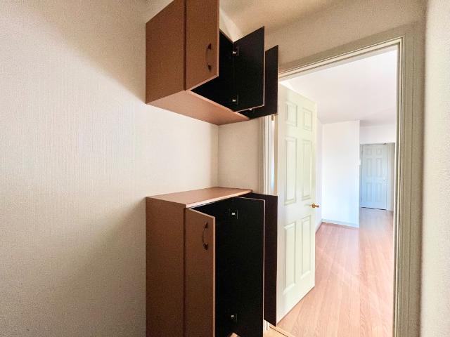 マノリア その他5