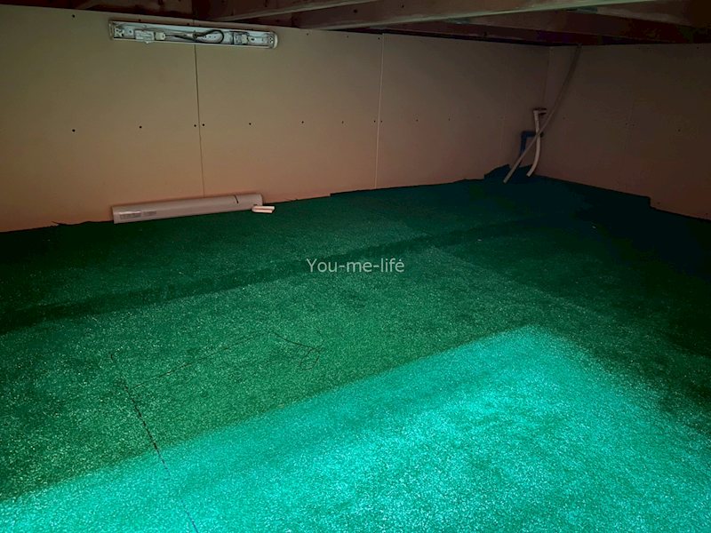 湘南サンライズガーデンＶ その他13