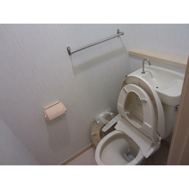 ビラツボサキ その他2