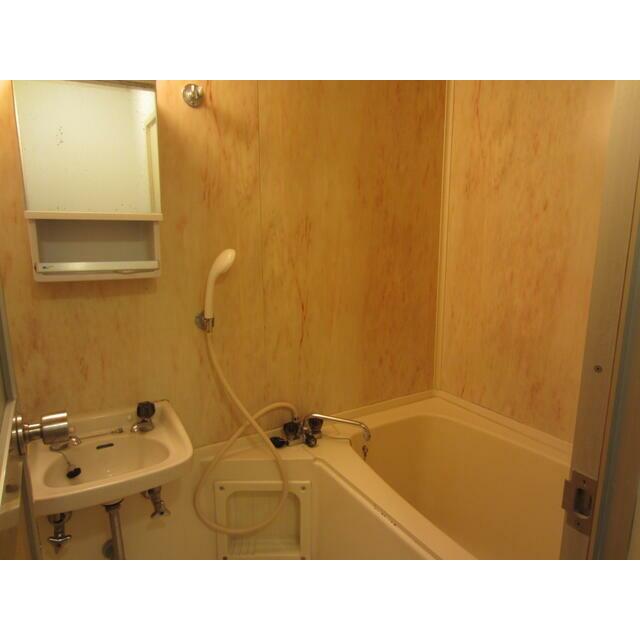 ビラツボサキ 風呂画像