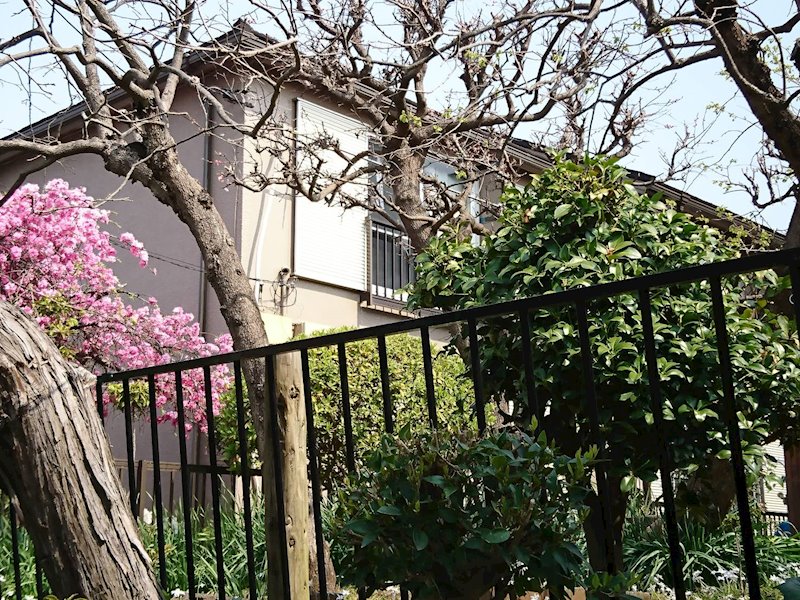 グリーンコテージ 102号室 外観