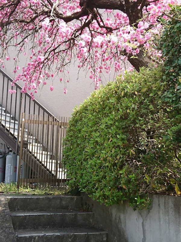 グリーンコテージ その他外観1