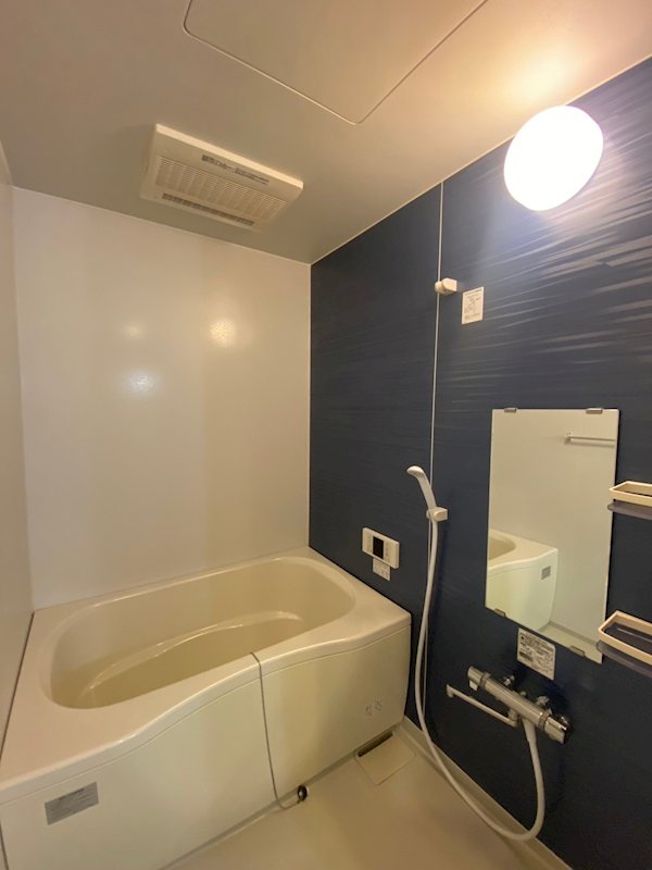 緑壱番館Ｋａｔｕｍｉ 風呂画像