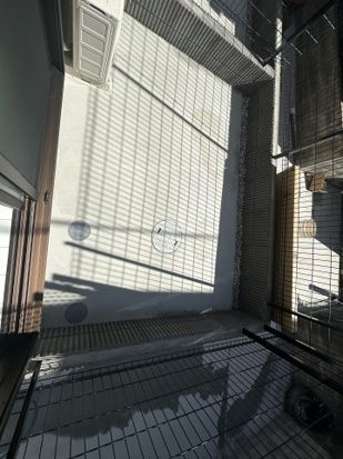 ジョーパレス鵠沼海岸 その他外観2