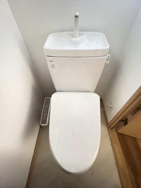 ロック・フィールド水引 その他1