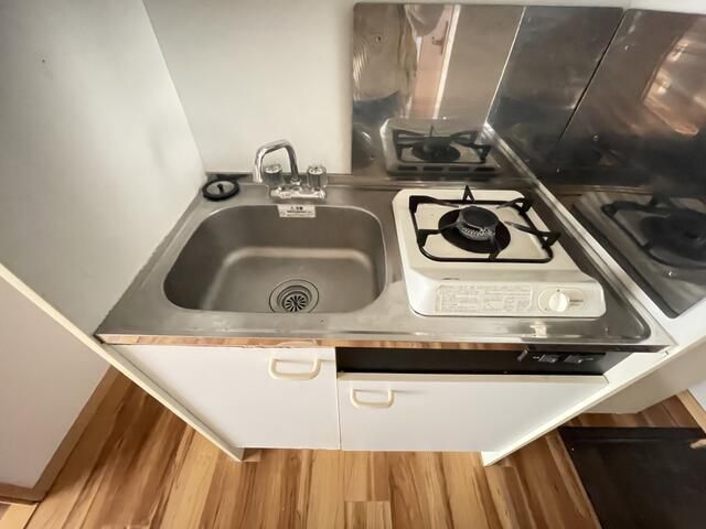 ロック・フィールド水引 その他9