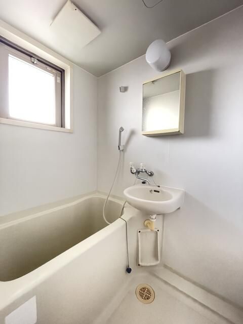 ロック・フィールド水引 その他10