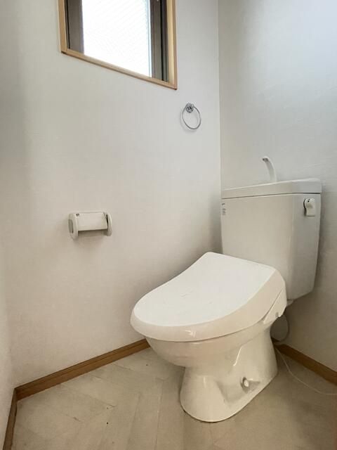 ロック・フィールド水引 その他11