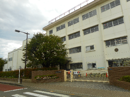 ホワイトハイツ 周辺画像4