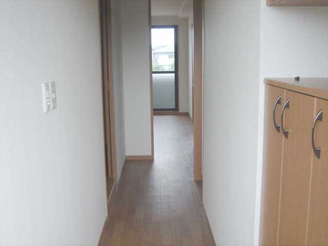 ＴＨ・ルミナス その他6