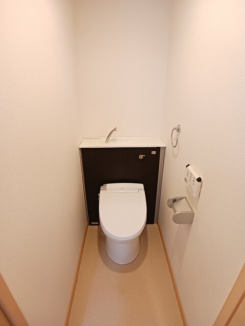 ヴィオラ　プリート その他4