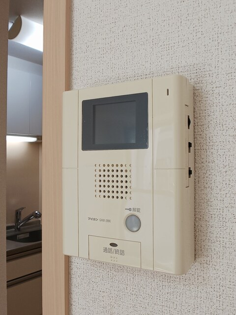 ヴィオラ　プリート その他6