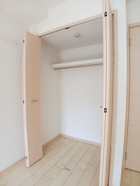 ヴィオラ　プリート その他2