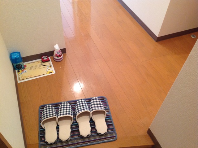 Ｗｅａｌｔｈｙ長谷 玄関