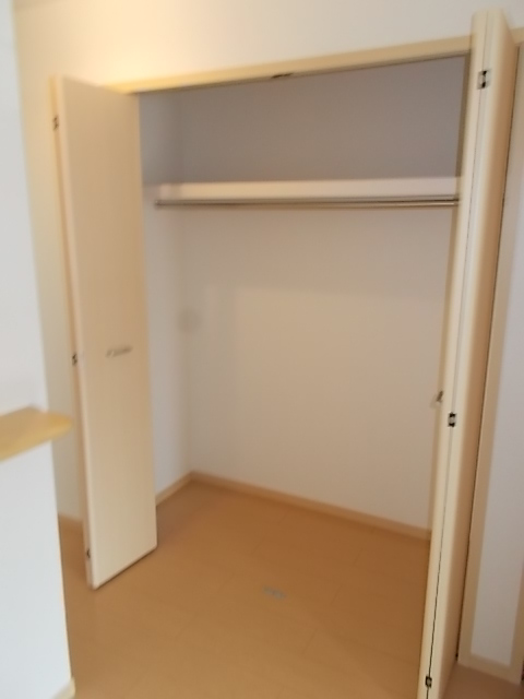 プラシード・Ｍ その他3