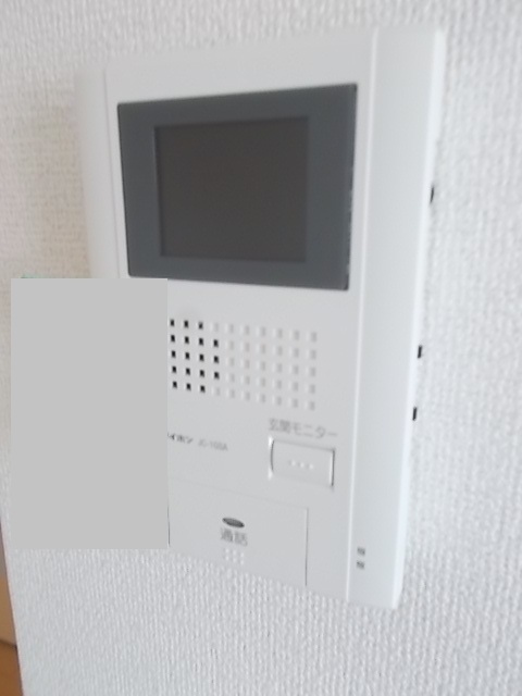 プラシード・Ｍ その他4