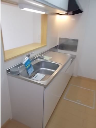 プラシード・Ｍ その他6