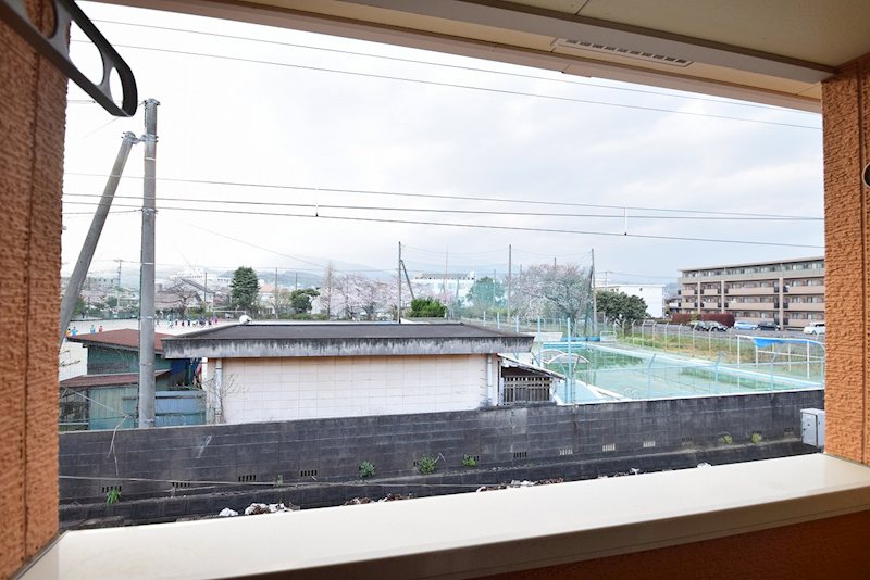 プリムローズＭ その他2