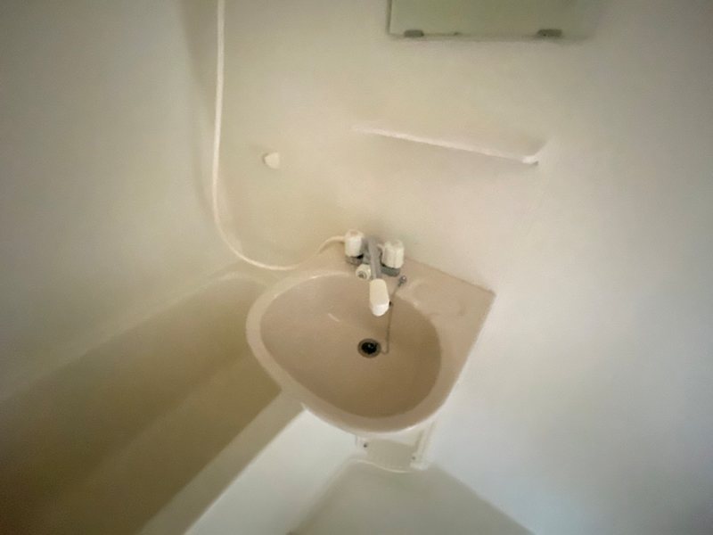 カルミア その他5