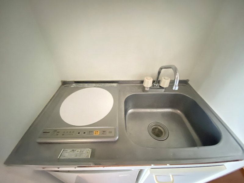 カルミア その他6