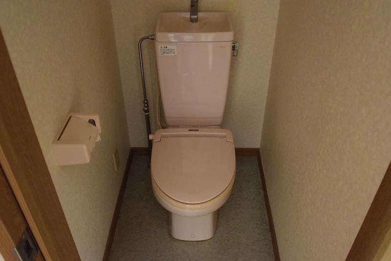 カルミア その他1