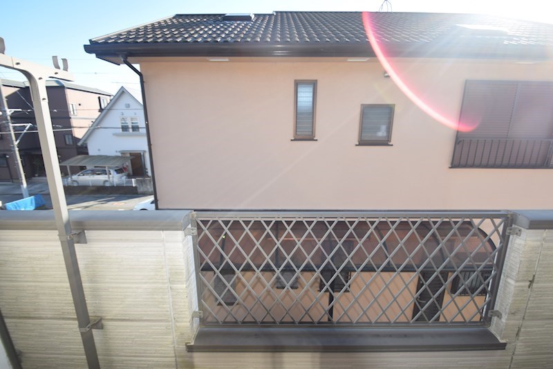 カルミア その他2