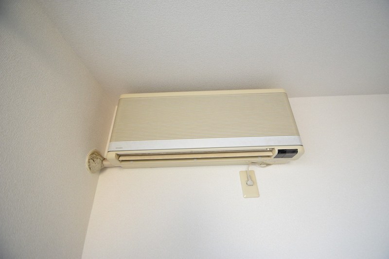 コスモス№３ その他3