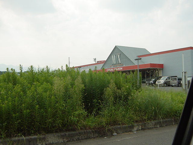 ハイツルミナス その他17