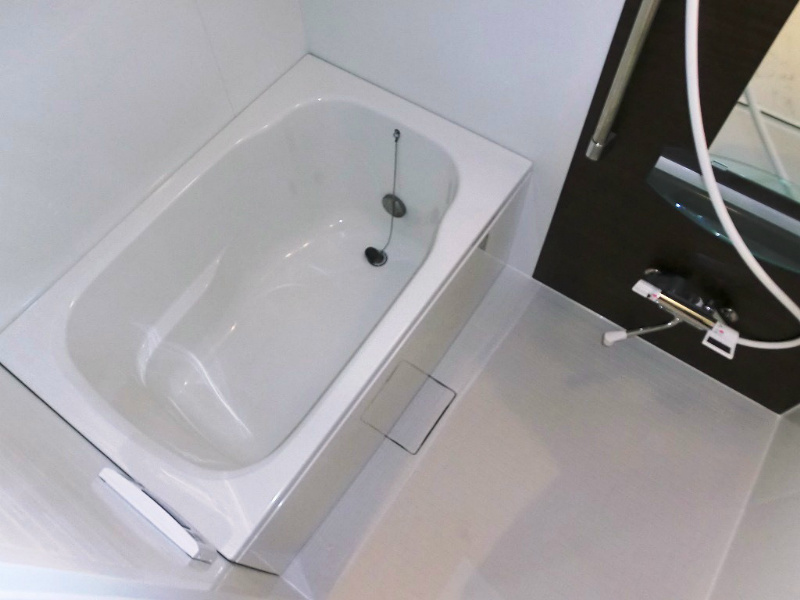 Forest sage  風呂画像